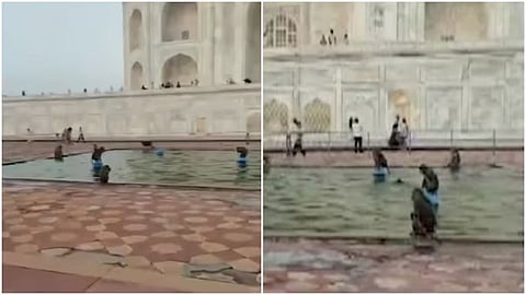 A viral video showing monkeys swimming and playing in a water tank inside the Taj Mahal complex has caught social media's attention.