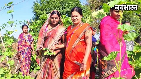 Mumbai: Equal rights for women in agricultural land – Maharashtra government to introduce a bill during the monsoon session.