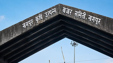 Major setback for Nagpur APMC; 'Market of National Importance' status retained, High Court refuses to grant a stay.