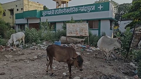 Narmadapuram Sanjeevani Clinic