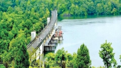 mumbai gargai dam project tree cutting environmental threat