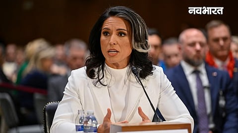tulsi gabbard big claim on covid-19 virus