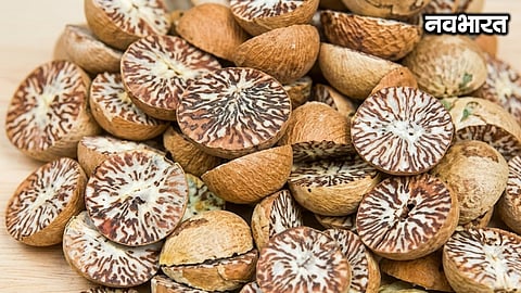 Major crackdown in Yavatmal: 69.5 tonnes of betel nut worth ₹89.25 lakh seized; two trucks impounded