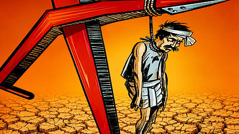 Vidarbha's agony persists: Farmer suicides continue unabated in Yavatmal; 105 farmers have taken their lives in five months.