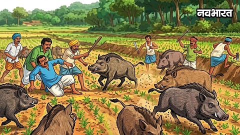 Rain wreaks havoc in Bhandara; 3-day 'Orange Alert' issued; cow killed by lightning strike.