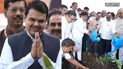 harit mahotsav launched in marathwada on devendra fadnavis birthday