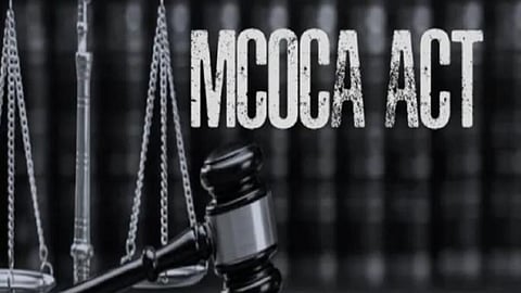hinganghat md drugs smuggling mcoca pankaj sathavane arrest wardha