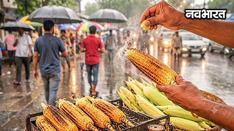 The rate has shot past ₹800 per hundred—up from ₹500! Inflation has added a bitter twist to the flavors of the monsoon in Nagpur.