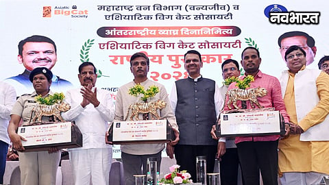 Tiger population in Maharashtra to cross 600; CM Fadnavis outlines new conservation plan.