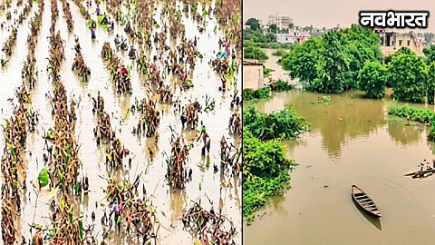 Rampaging floods in Nashik's Niphad; thousands of hectares of crops submerged; farmers in riverbank areas face a crisis.