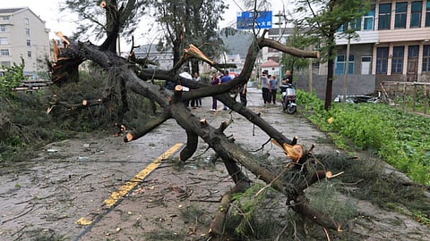Typhoon Bavi wreaks havoc on China and the Philippines, the worst disaster since 1949; 18 people have died so far.