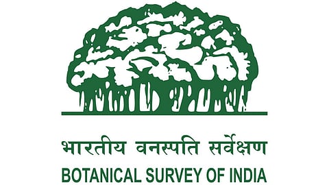 BSI has invited applications for 6 Junior Research Fellow posts from eligible MSc Botany candidates.