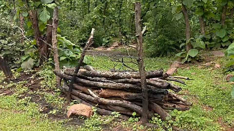 Chhatarpur Forest Land Case