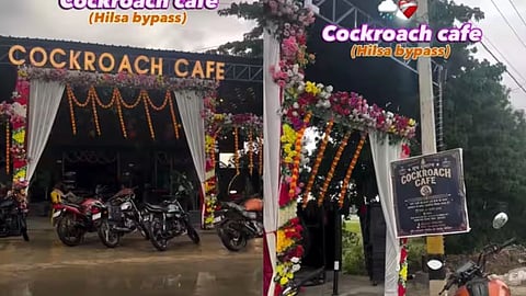 A uniquely named 'Cockroach Cafe' in Bihar's Nalanda has gone viral, sparking humorous reactions across social media.