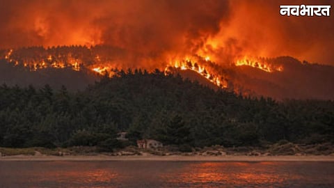 Europe Wildfire: Spain And France Forests Burn Leaving Fifteen Dead And Three Lakh People Displaced