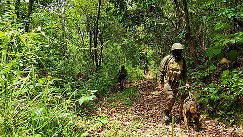 manipur violence news