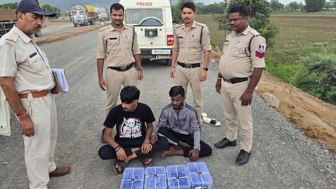 Rewa Illegal Weapons Seized