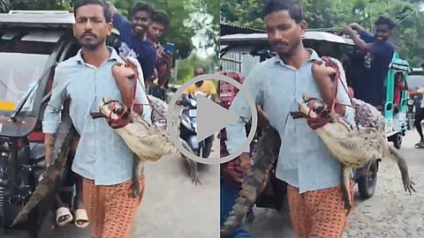 Bihar Crocodile Viral Video