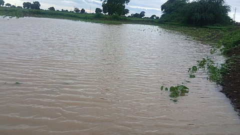 daryapur saundli waterlogging crop damage farmers protest
