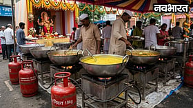 गणेशोत्सव में महाप्रसाद के लिए घरेलू गैस सिलेंडर के इस्तेमाल पर रोक, ठाणे प्रशासन ने जारी किए कड़े निर्देश