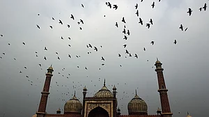 फोटो : Getty Images