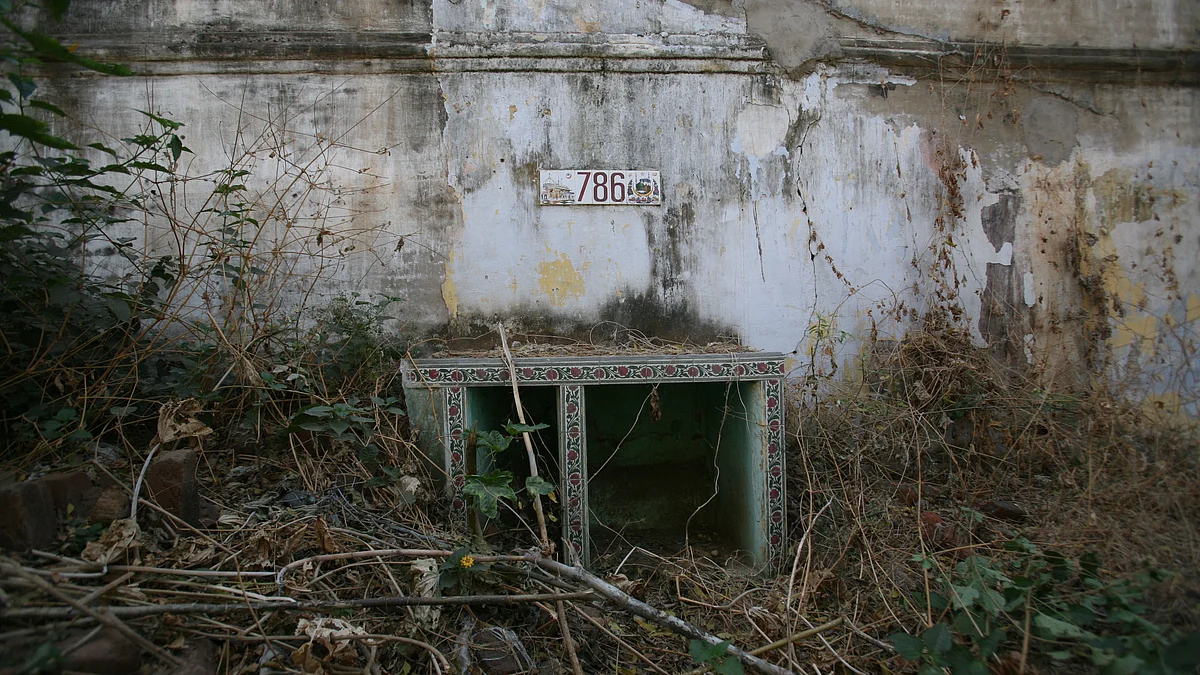 फोटो: Getty Images