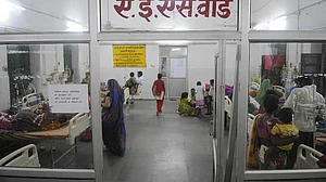 फोटो : Getty Images