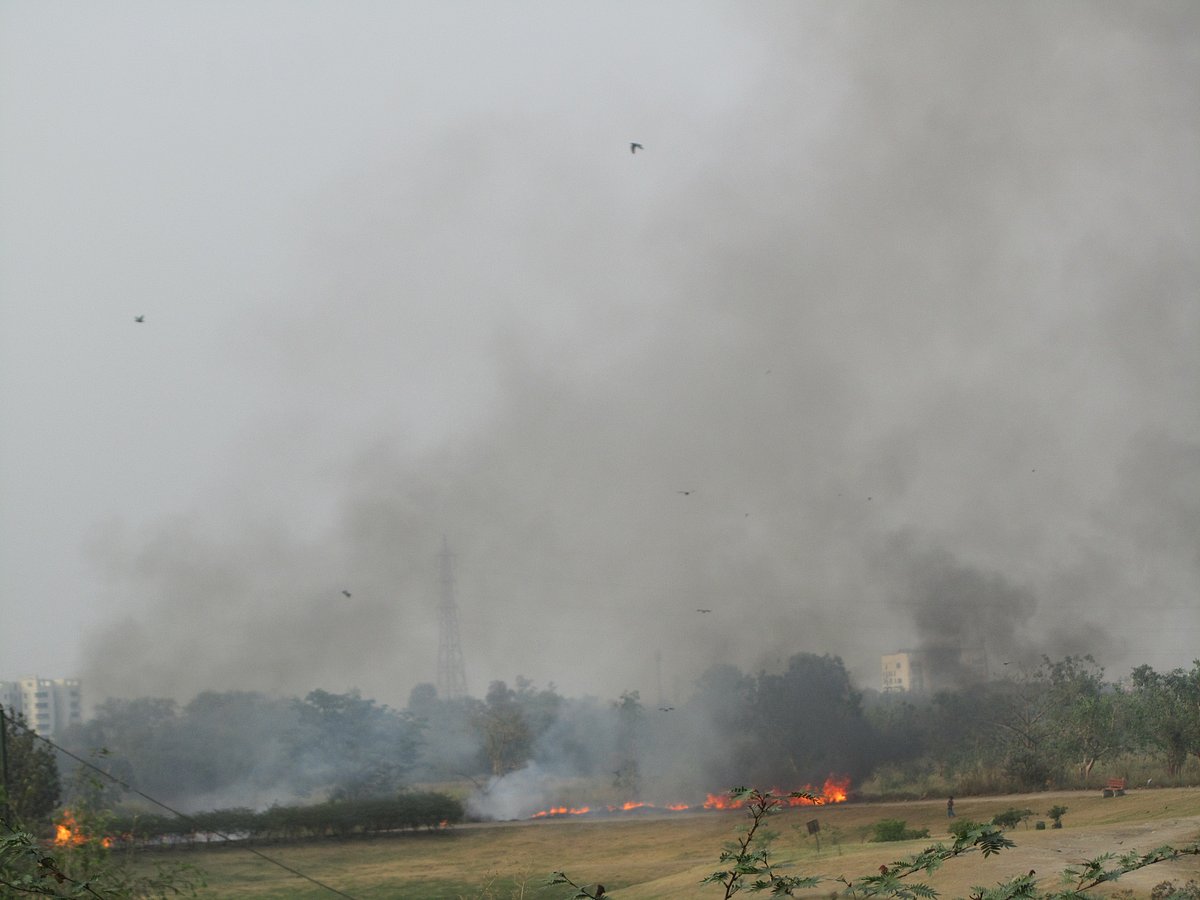 

फोटो: महेन्द्र पाण्डेय