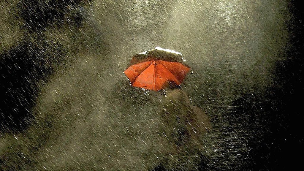 फोटो : Getty Images