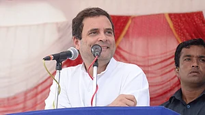 ‘विकास पागल हो गया है’: राहुल गांधी