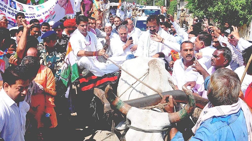 Photo: Ravi Shankar Vyas/IANS