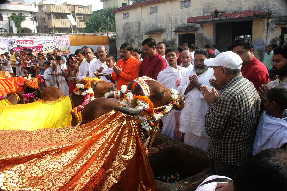 कहीं संगीत, तो कहीं प्रदर्शन, ऐसा रहा 28 अक्टूबर 2017