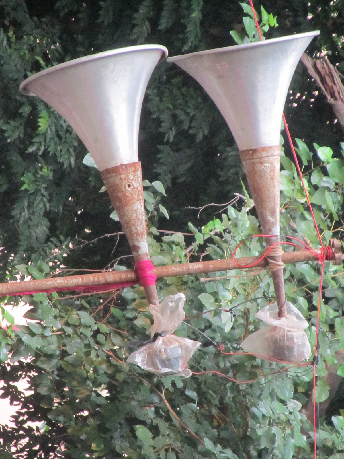 

फोटो : महेंद्र मांडेय