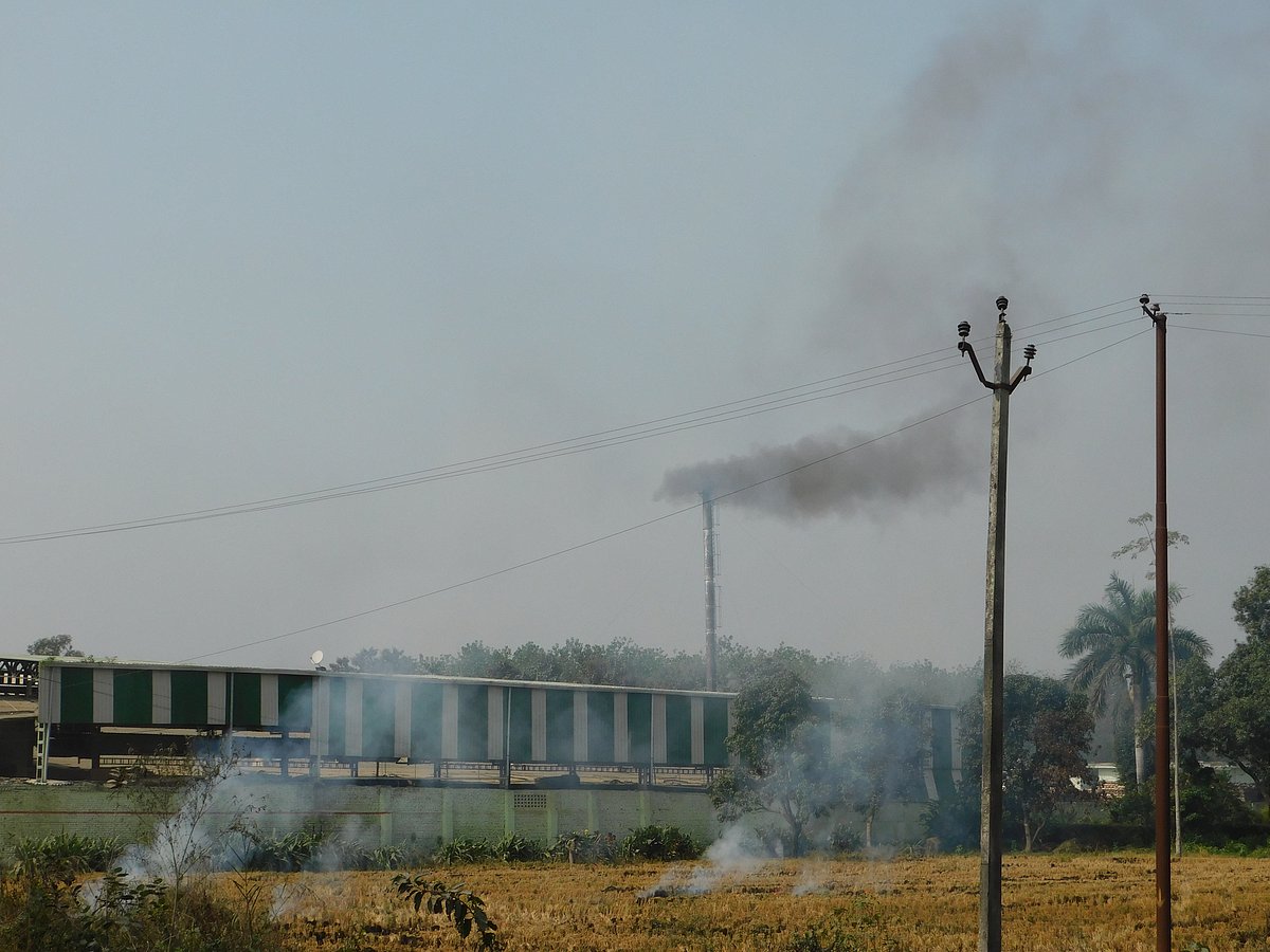 फोटो: महेन्द्र पाण्डेय