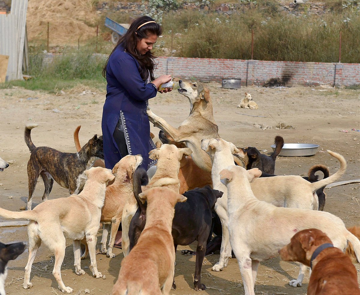 फोटो: सोशल मीडिया