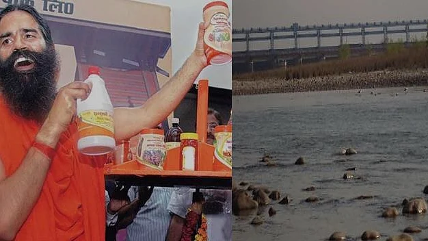 फोटो: सोशल मीडिया