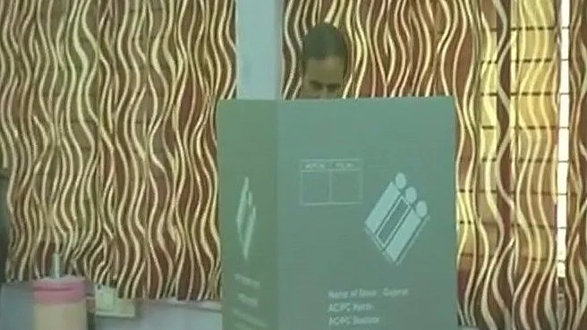 फोटो: सोशल मीडिया&nbsp;