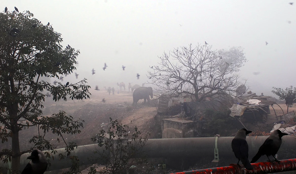 Photo : Pramod Pushkarna 