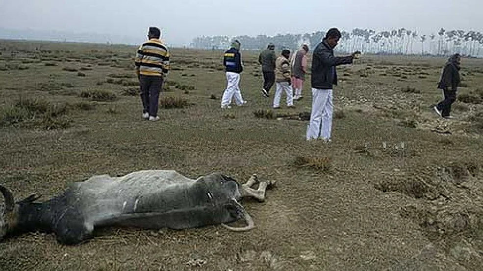 फोटो : सौजन्य डाइनामाइट न्यूज