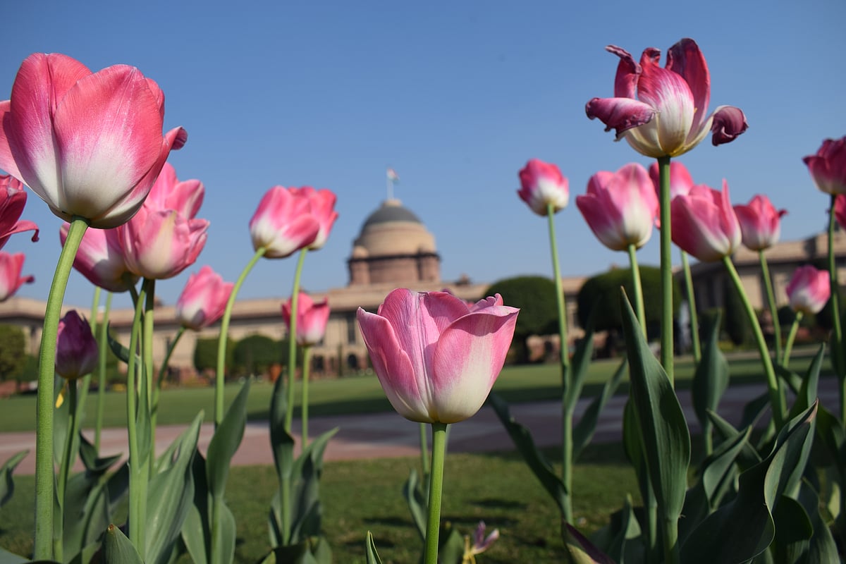  Photo : Pramod Pushkarna