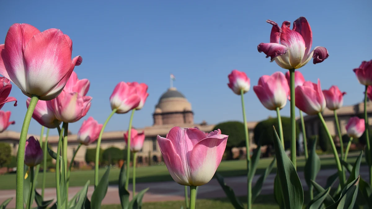  Photo : Pramod Pushkarna