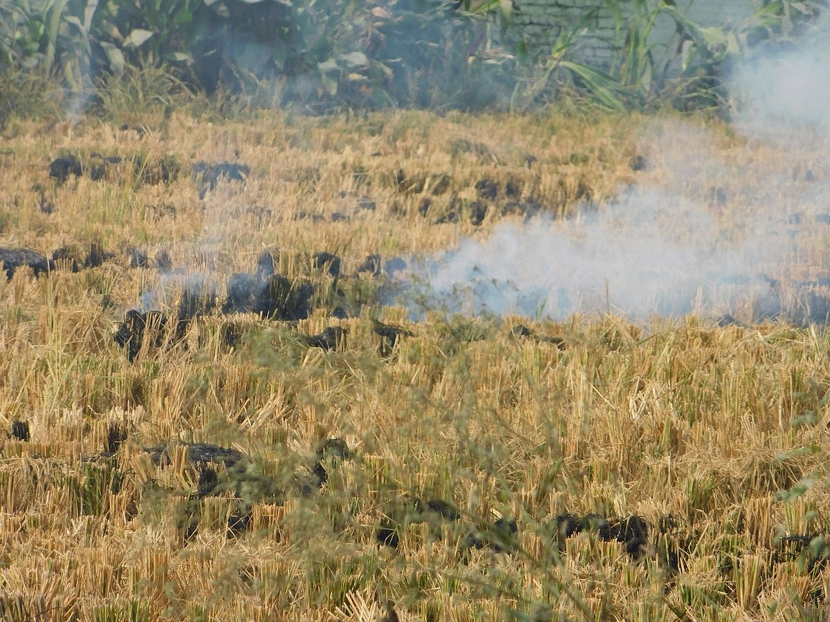 फोटो: महेन्द्र पांडे