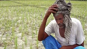 किसानों पर बैंकों का जितना बकाया, उससे 9 गुना ज्यादा तो उद्योगपति डकार चुके हैं