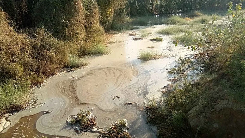 फोटो : सोशल मीडिया