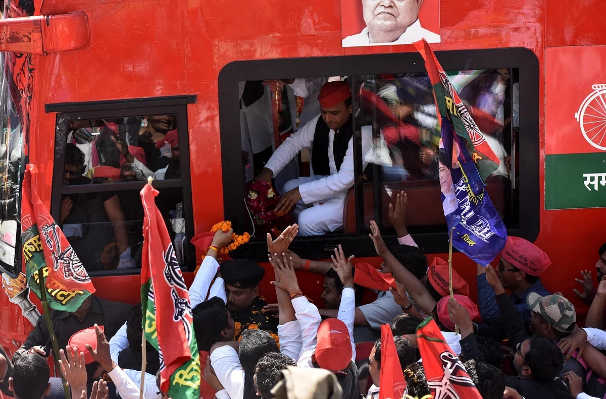 मैच से पहले हाथियों की खातिरदारी