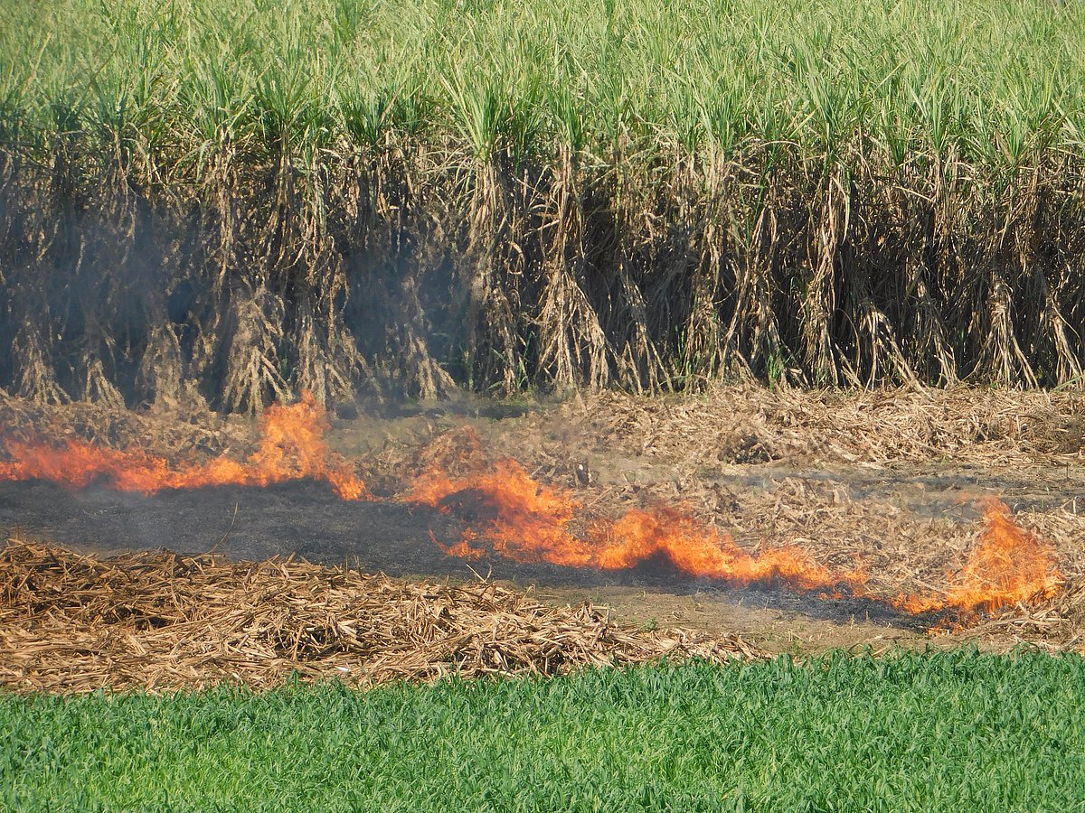 ‘वायु प्रदूषण मुक्ति’ महायज्ञ: प्रदूषण फैलाकर प्रदूषण रोकने का आयोजन समझ से परे