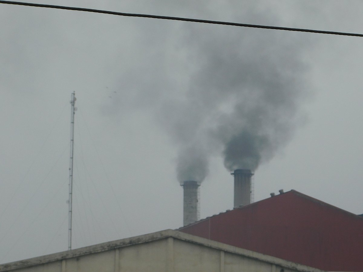 ‘वायु प्रदूषण मुक्ति’ महायज्ञ: प्रदूषण फैलाकर प्रदूषण रोकने का आयोजन समझ से परे