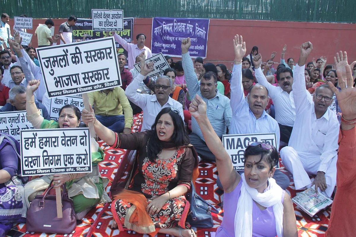 मैच से पहले हाथियों की खातिरदारी