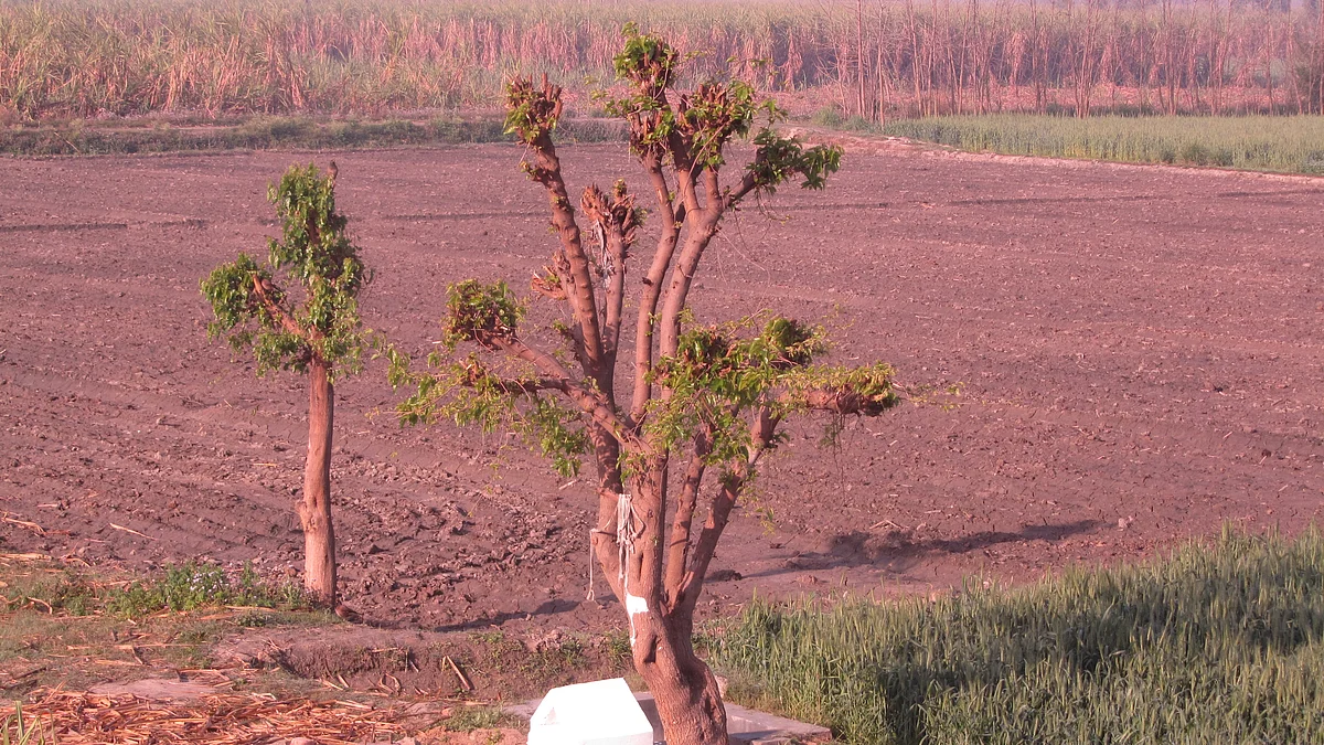 फोटो: महेन्द्र पांडे