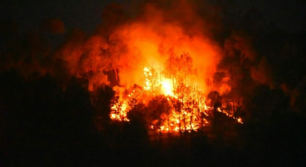 उत्तराखंडः धू-धू कर जल रहे जंगल, बारिश का इंतजार कर रही है बीजेपी की रावत सरकार